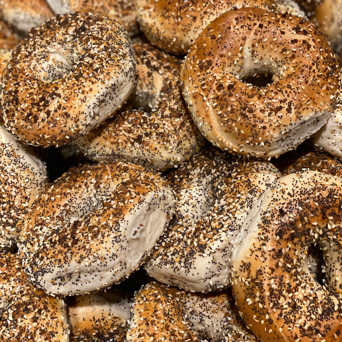 Everything Bagel Shug's Bagels